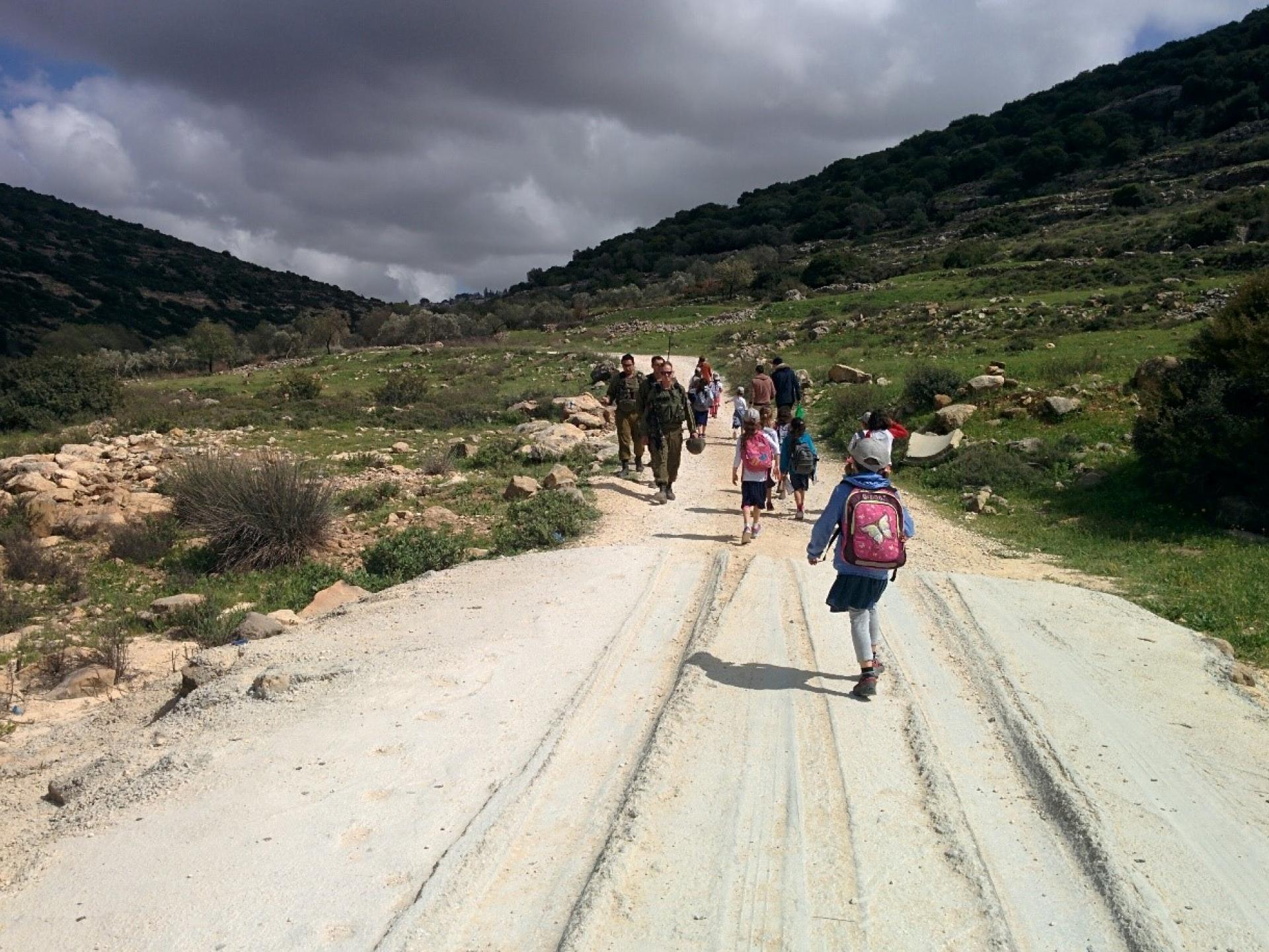 Spring Day in Wadi Kana Nature Reserve