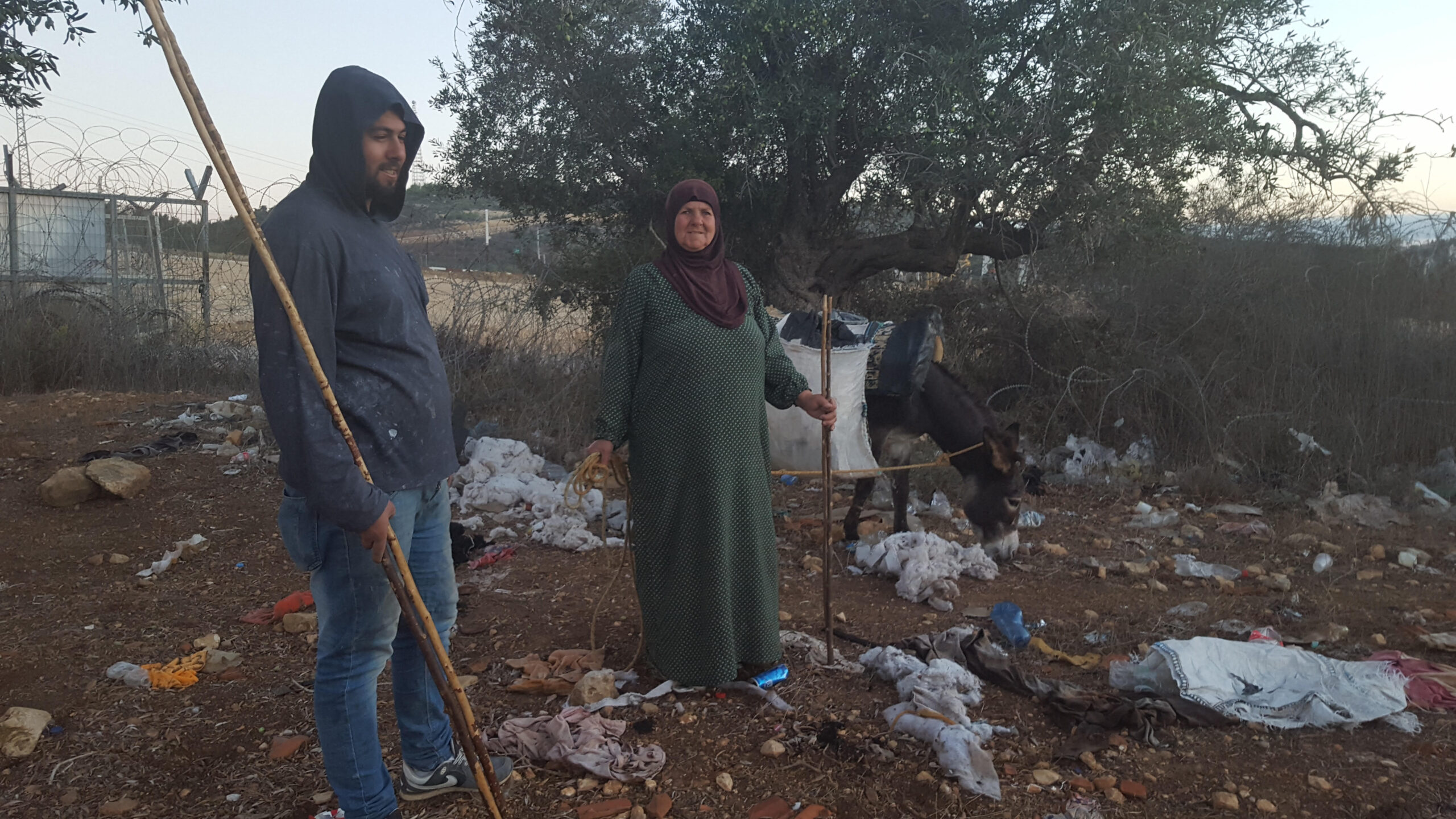 האלמנה מעאנין יורדת לחלקת הזיתים שלה. רק לה יש אישור לעבור לשם!