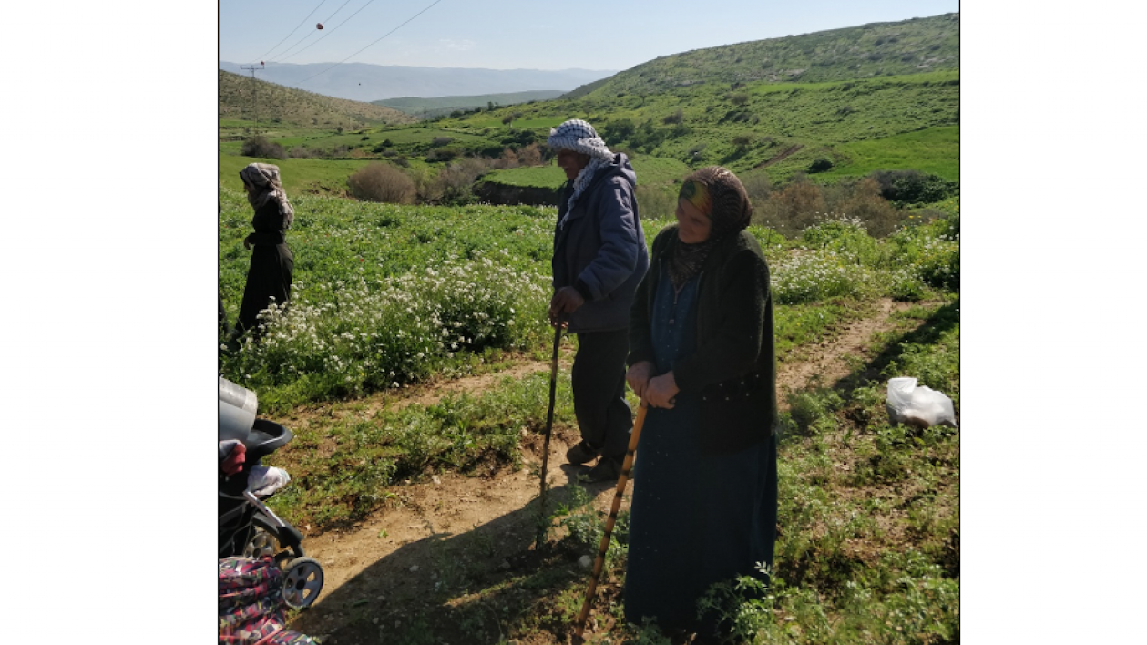 Al Malih Day: Long Evacuation of the Elderly
