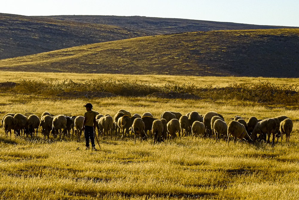 Shepherd boy in Uja 