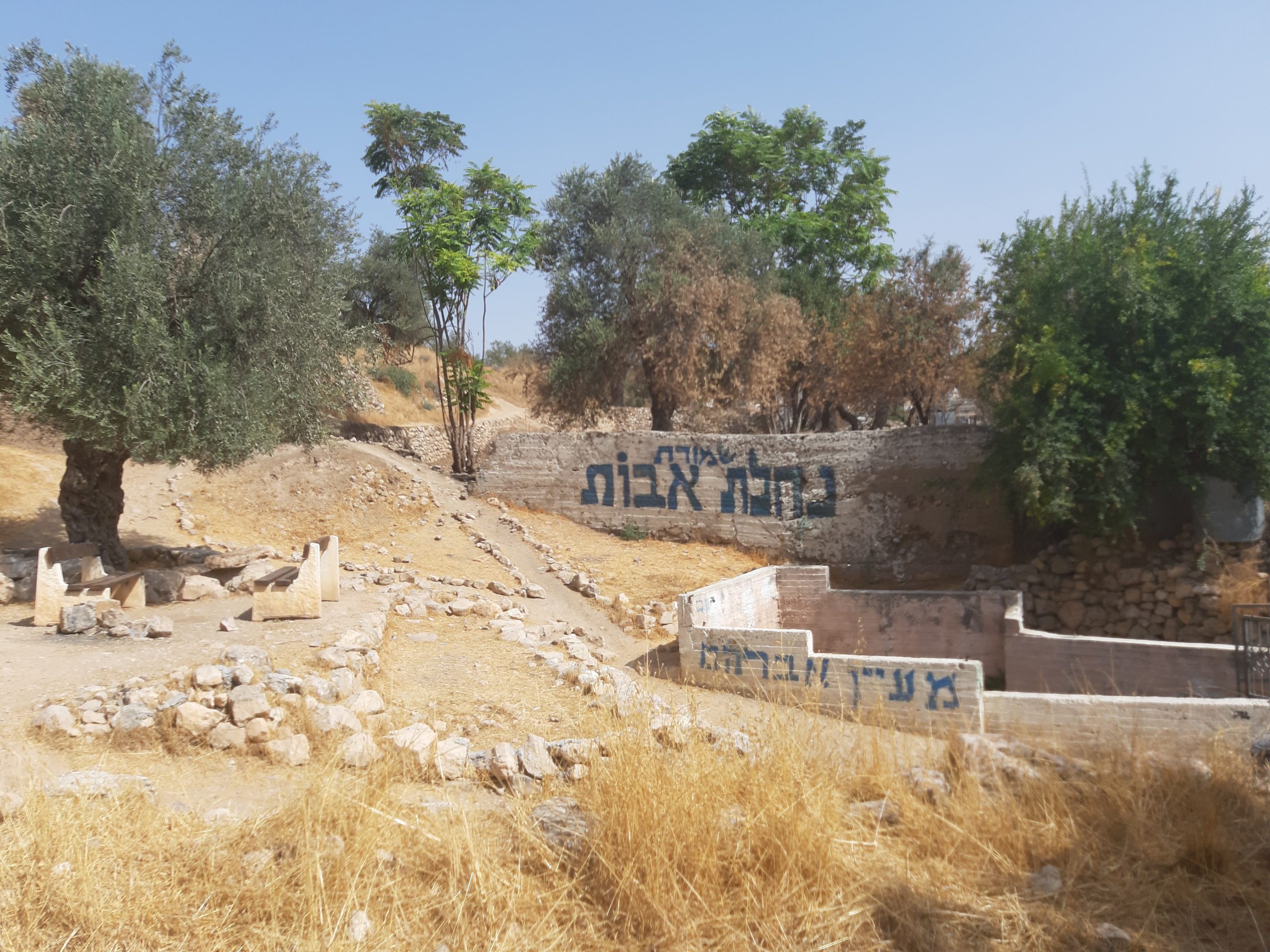 המעין והמצלמות