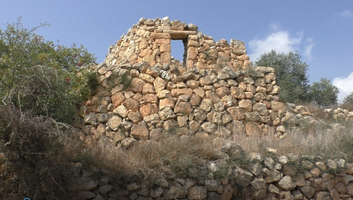 Ancient agricultural watchtown at Al-Sawana