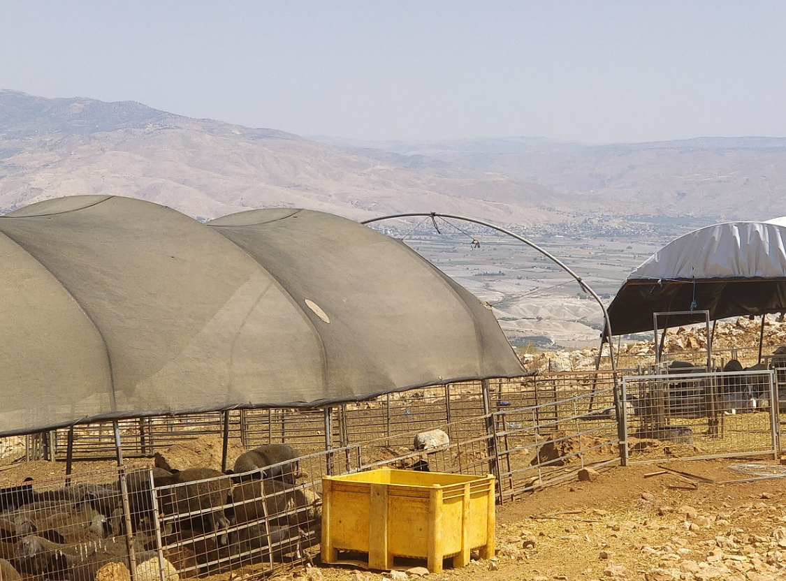The new settler-colony outpost of Menachem, adjacent to Hemdat