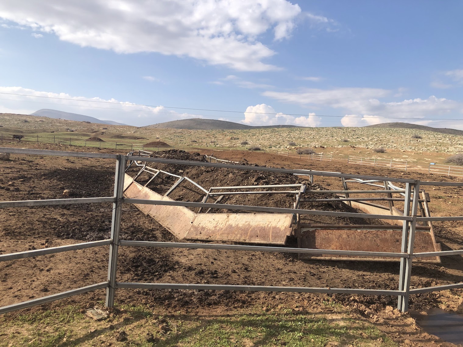 חמרה הפלסטינית: הפקעת אדמה פלסטינית לפרות של המתנחלים