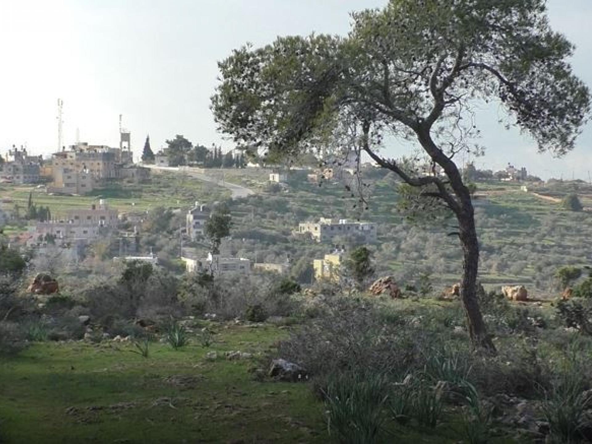 A view from Um Safa Forest Reserve to Nabi Saleh village