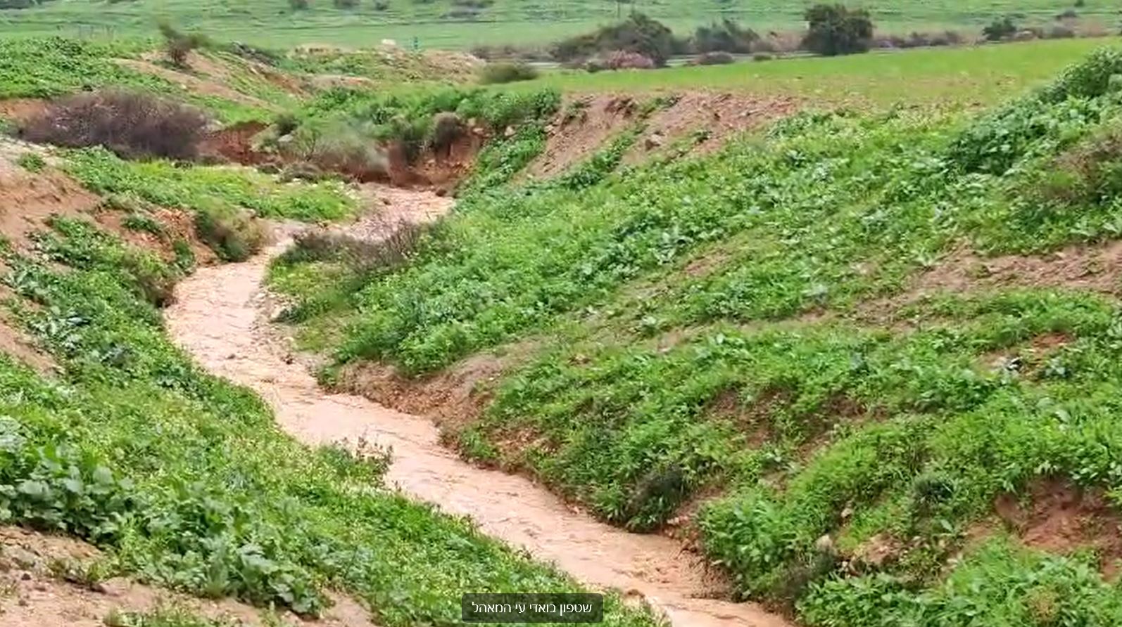 The rainwater washes off in a wadi near Farsia