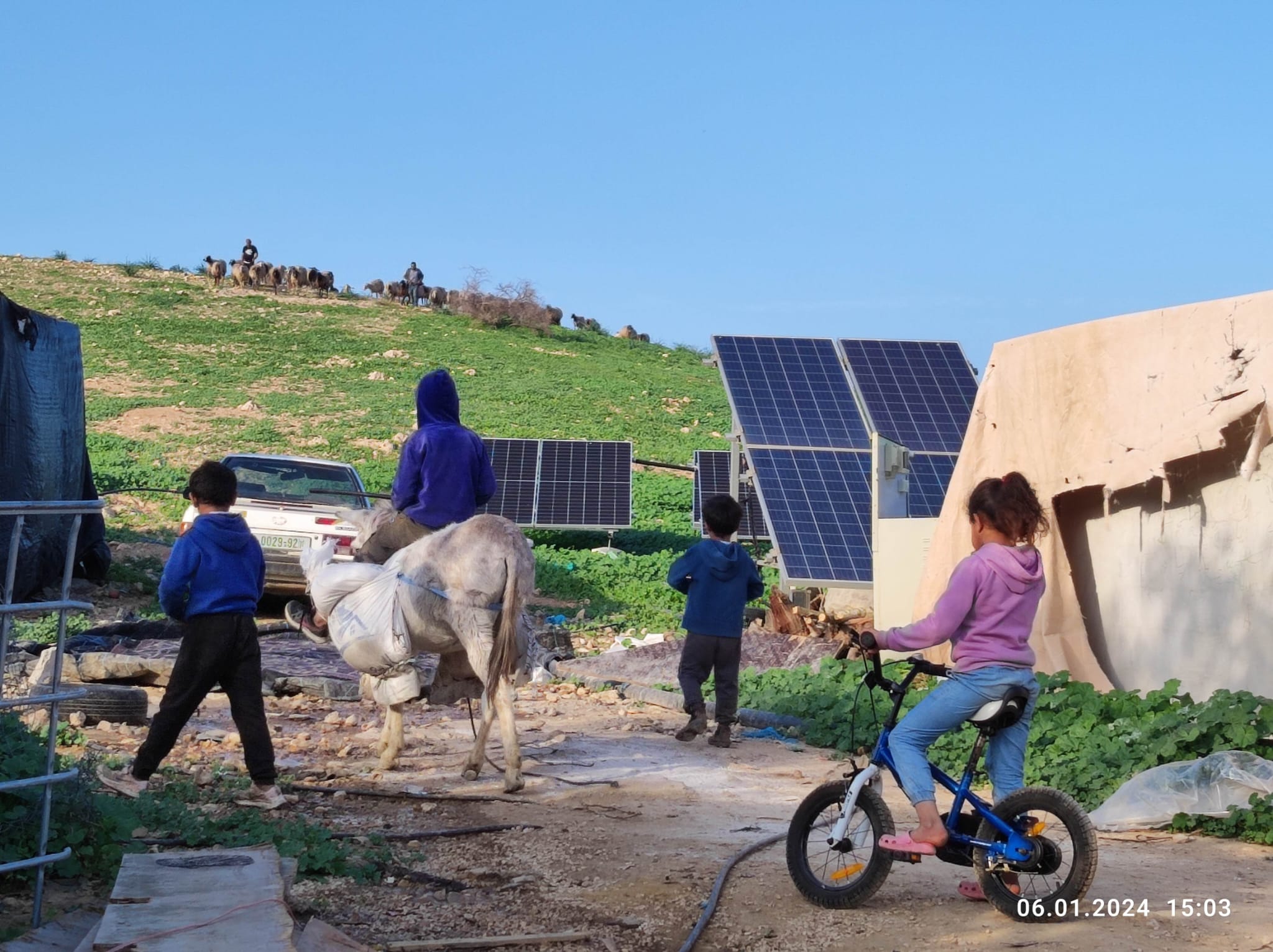 The shepherds return home, Farsia, 17.02.24