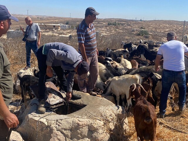 The herds returned to Zanota after the deportation at the end of 2023