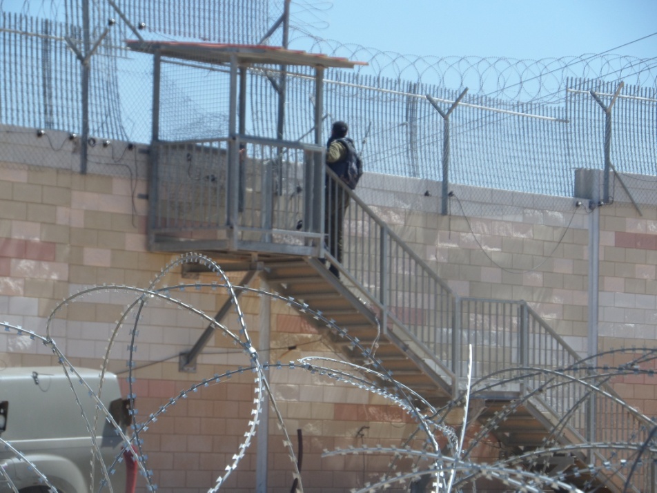 Observation pt 6.4.17 Shoshi I.jpg