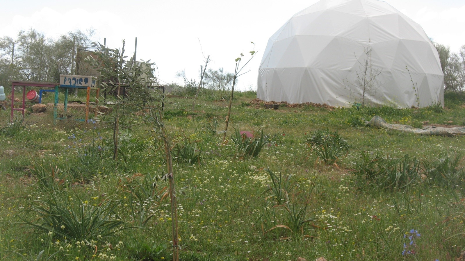JORDAN VALLEY 13.3.2-17 NEW GREENHOUSE NEW SETTLMENT_0.jpg