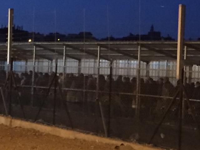 Eyal CP line at down 20.3.17.jpeg