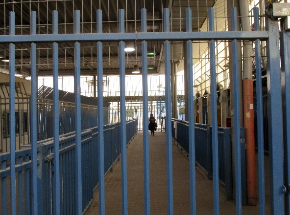 Empty checkpoint - Purim.jpg