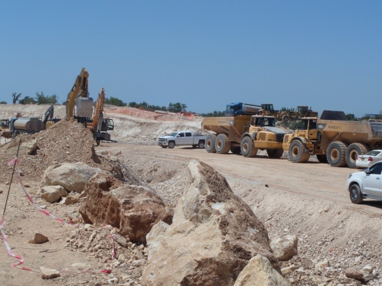 כזון פלאמייה כביש.jpg