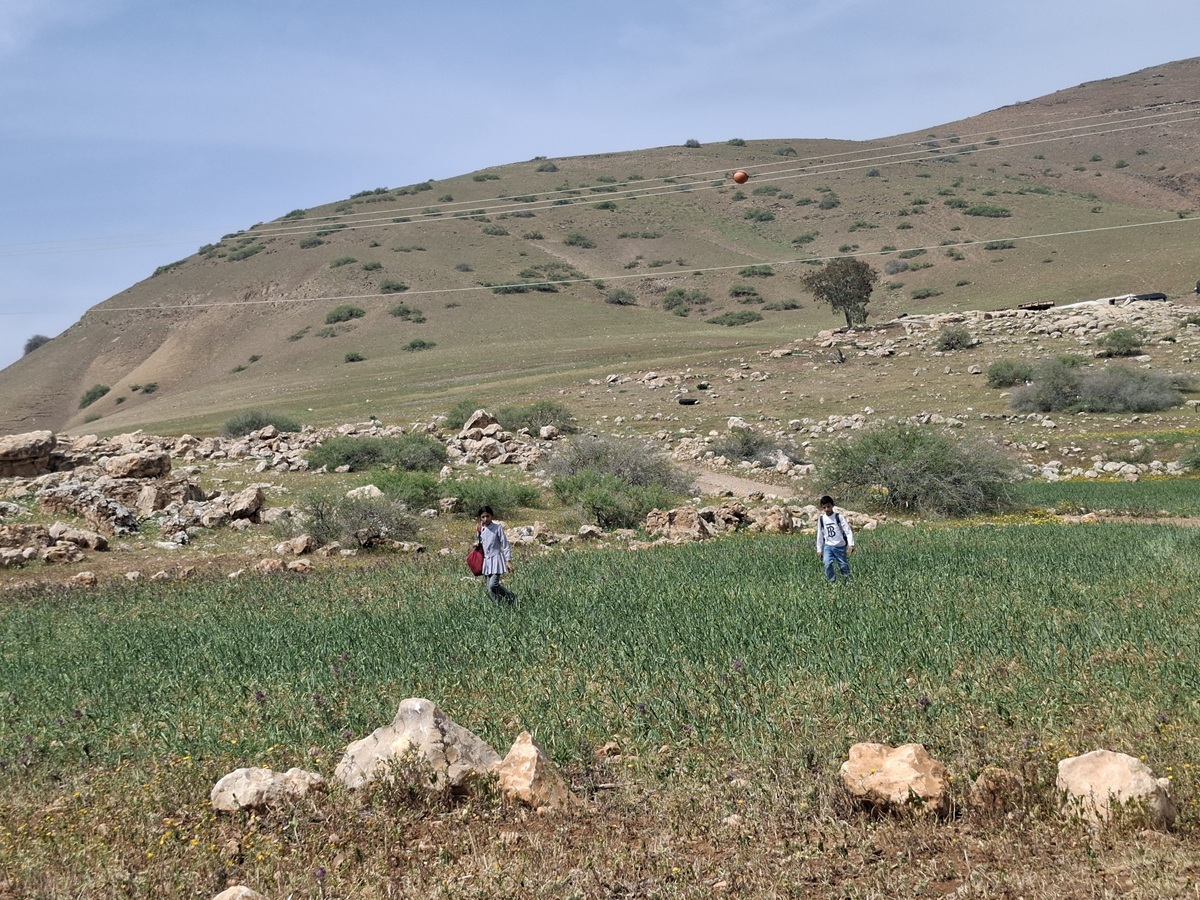 Palestinian shepherd children in the northern Valley return from school