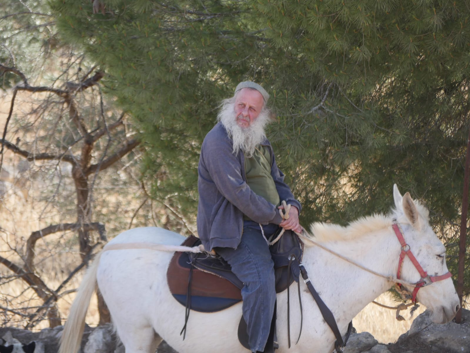 The settler inside Susiya