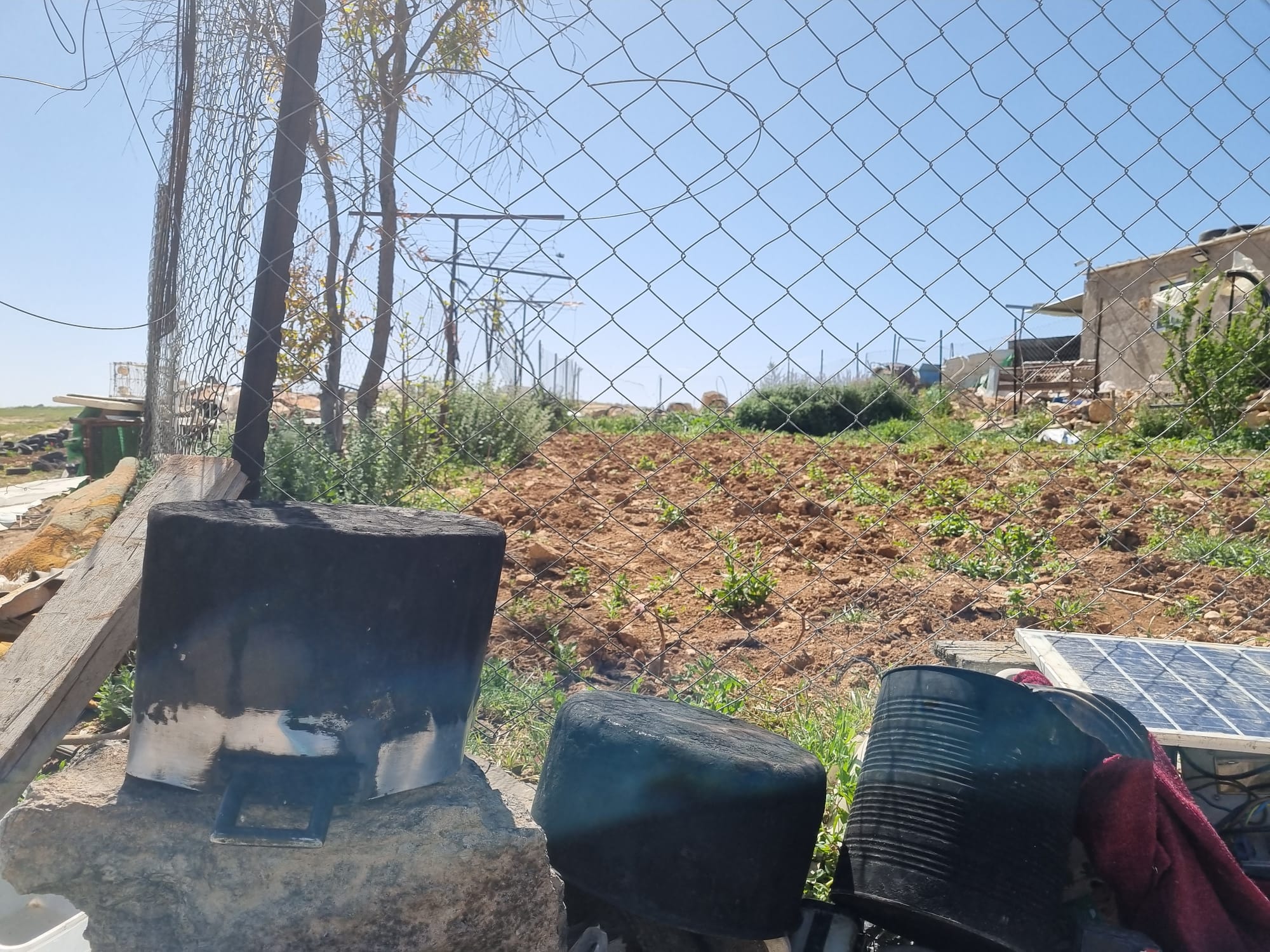 A field of fakus and zucchini in the garden of Leila and Muhammad Jabarin in Sha'ab al-Butum