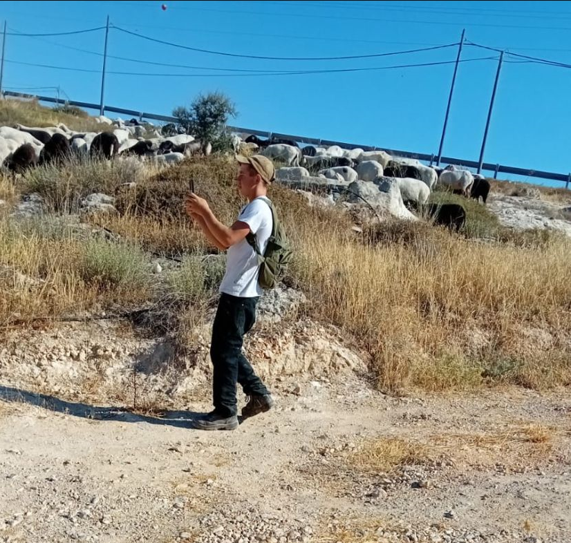 פוקיקיס - נערים מתנחלים מגיעים עם עדר ומטרידים את בני המשפחה