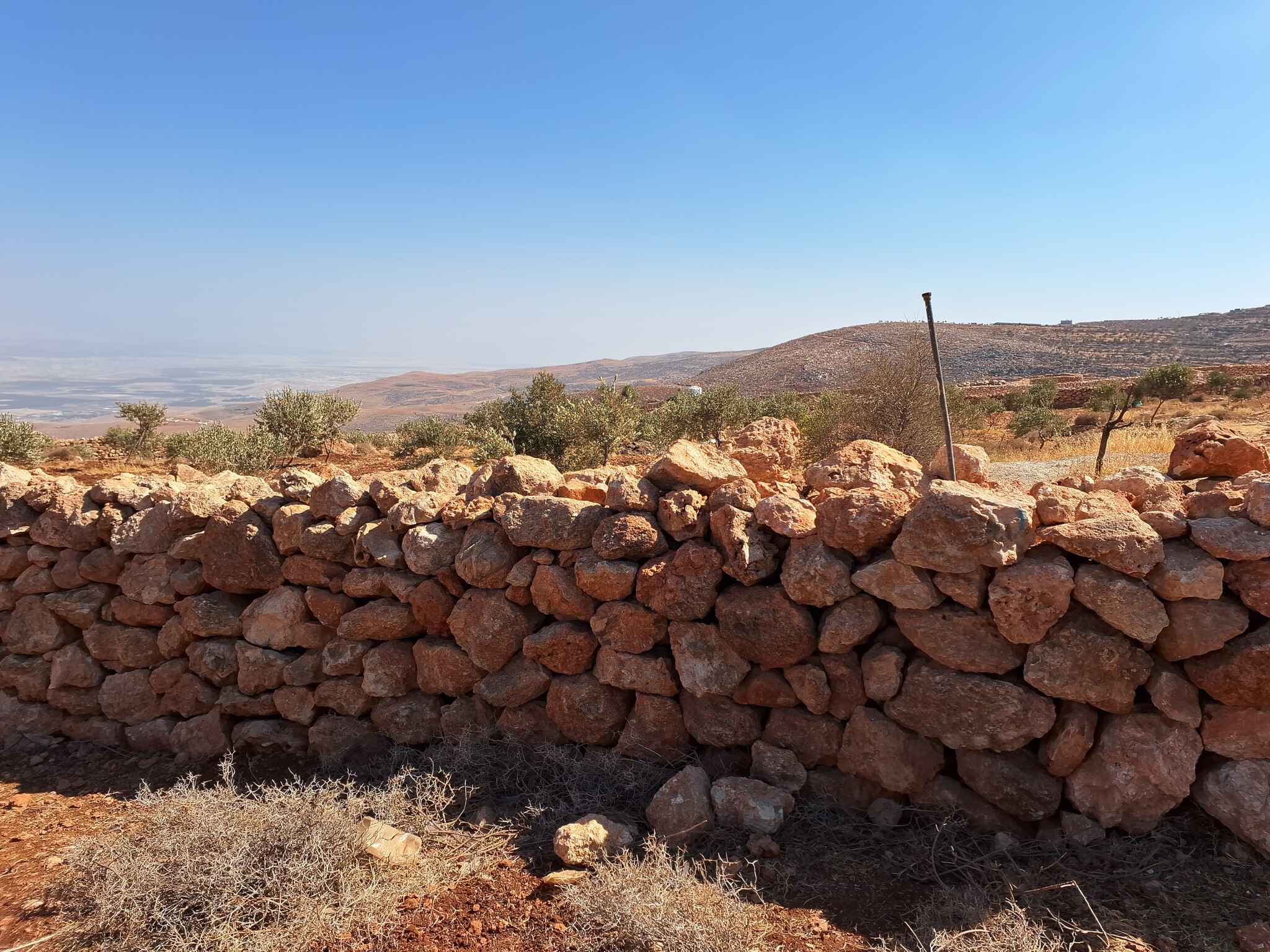 דומא: הגדר עליה טפסנו 