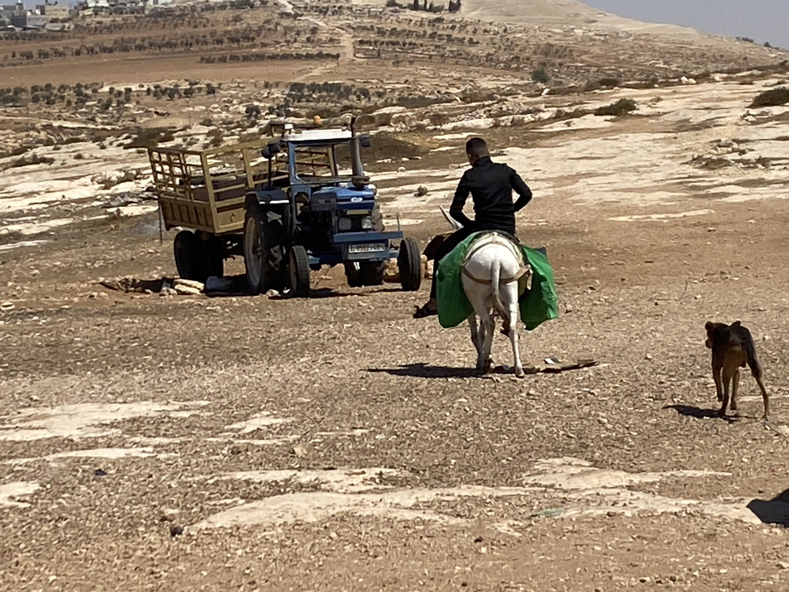 קוואוויס - הטרקטור מנופץ הזכוכיות והחמור העמוס יוצאים ליטא