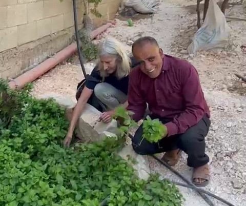 Duma: Nurit and Hussein picking mint