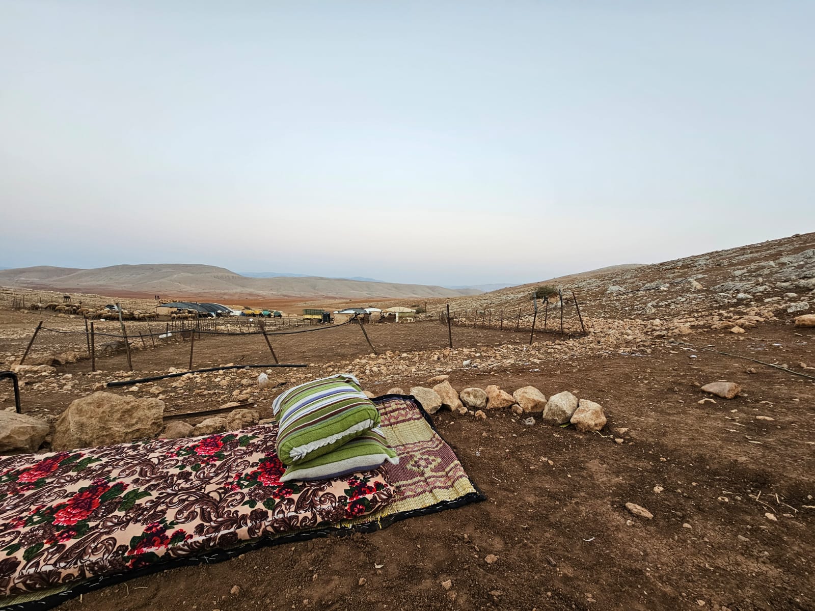 Humsah: K guards his territory