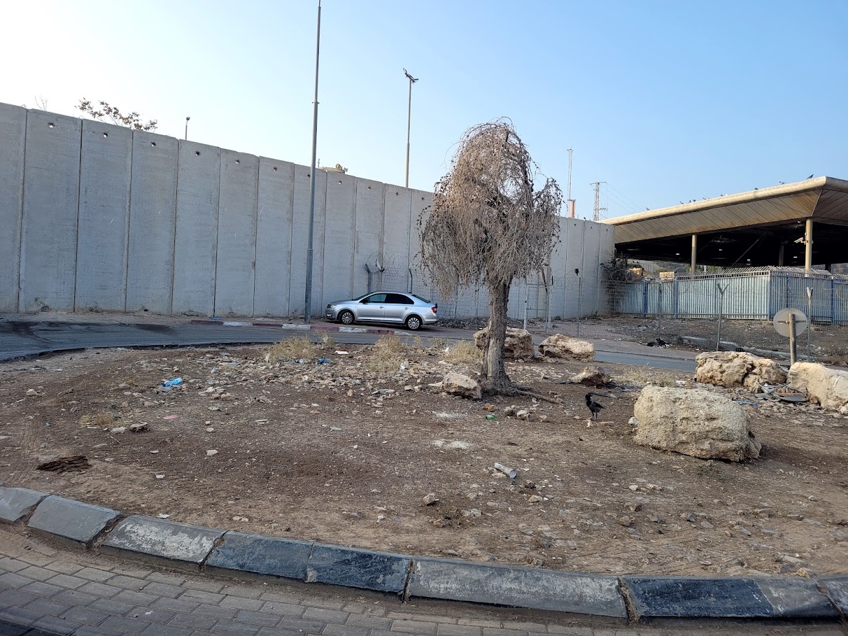 Olive Crossing: The olive in the square symbolizes the situation