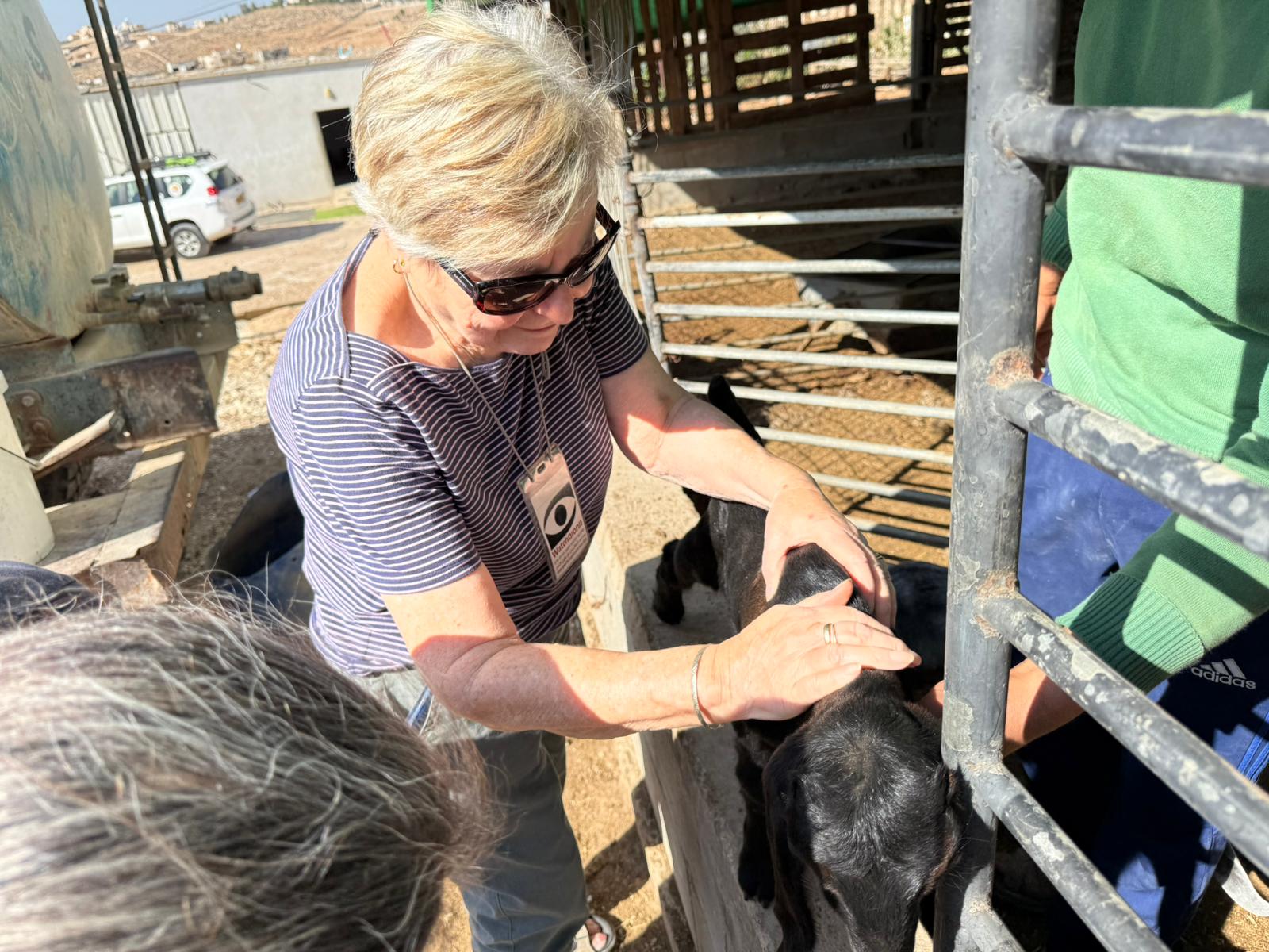 סמדר בדיר של פארס בשוויכה