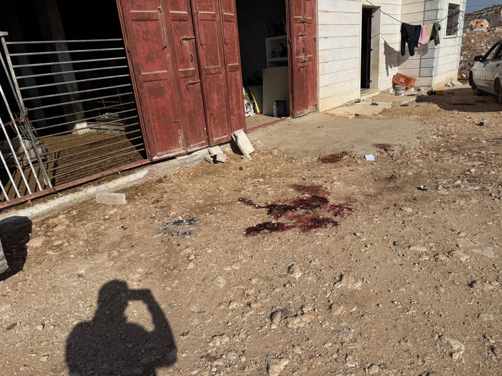 ואדי שחיש - כתם דם גדול של הכבשים