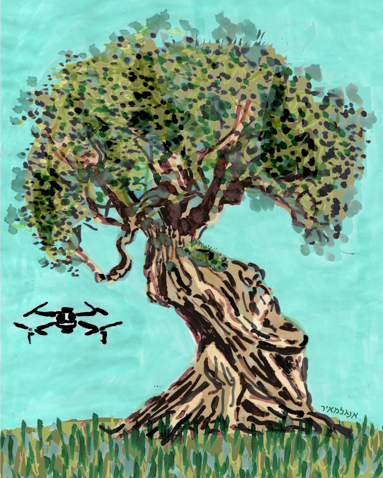 From the Diary of an Olive Tree, 14/11/25