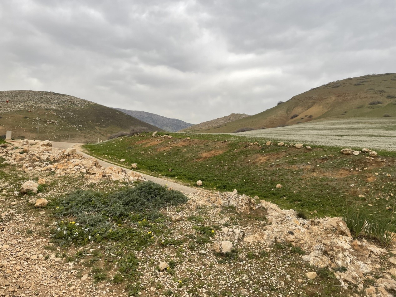 Northern Jordan Valley