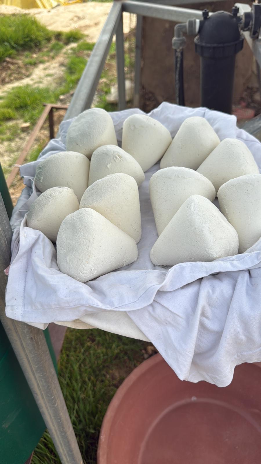 Yogurt stones made by V. 