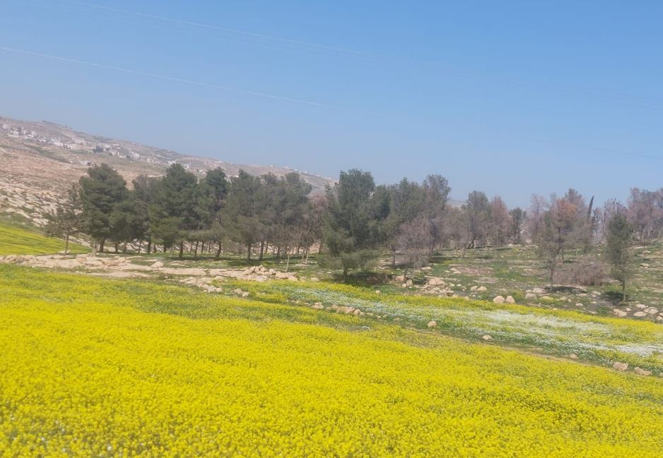 והטבע חוגג  שעב אל בוטום