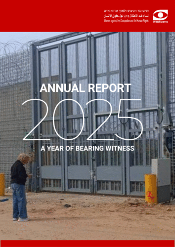 A year of bearing witness