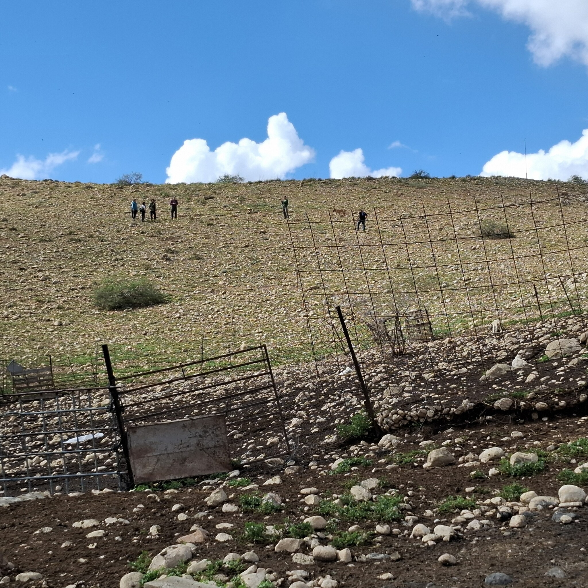 Al-Farsiyya. Ruthie and Michael prevent the assailants from going down to A's camp
