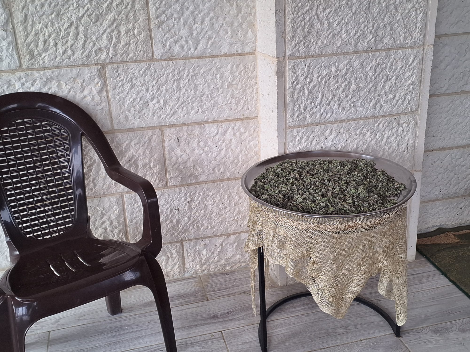 בורין. דוחא מייבשת זעתר