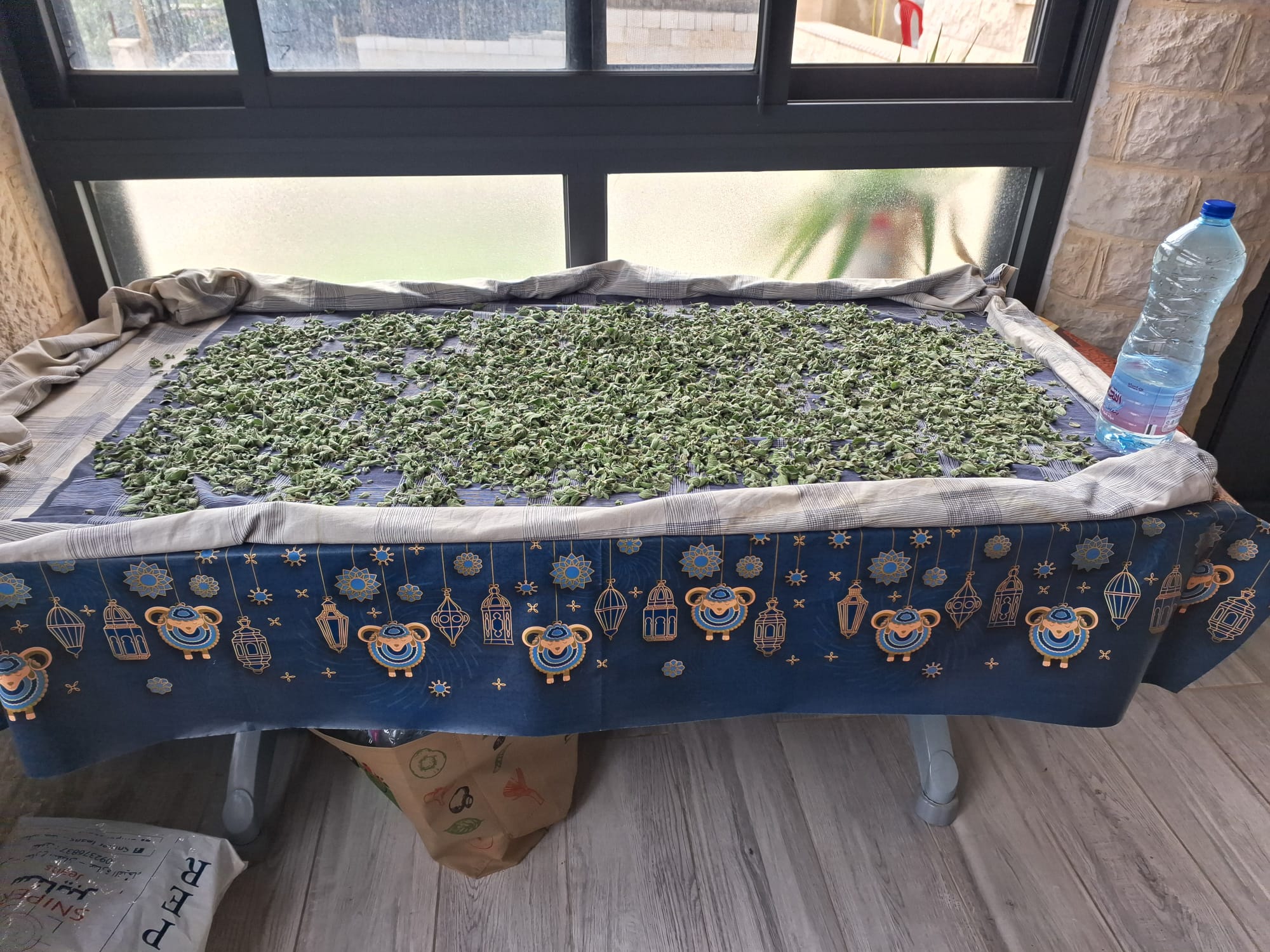 Burin. Za'atar leaves spread out for drying at Doha's home
