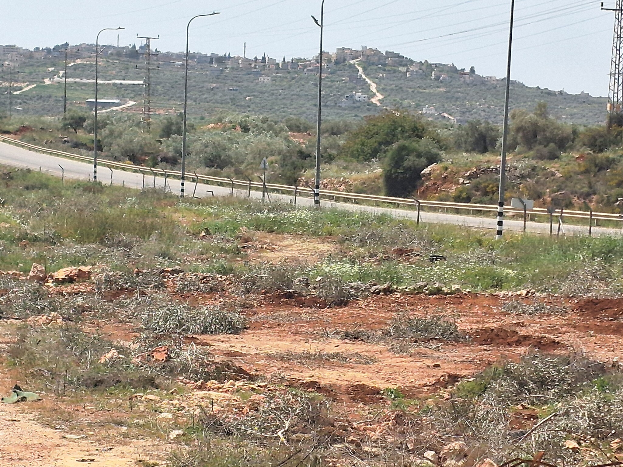 Marda. Felled trees near the village entrance