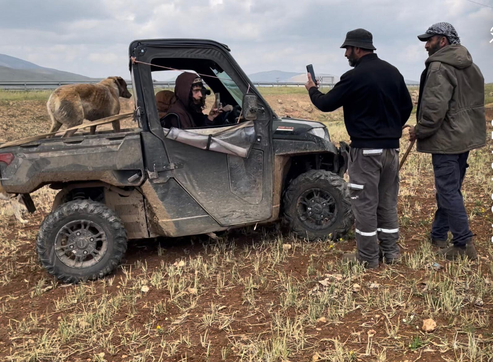 סמרה. טרקטורון בא להפחיד את הכבשים