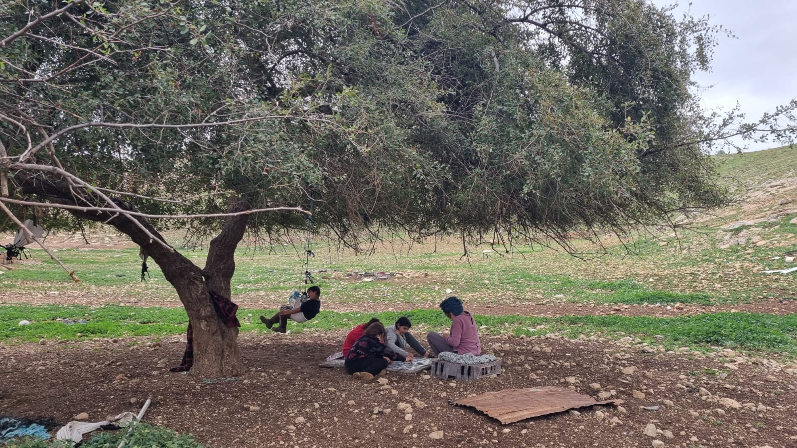 Samra. Under the jujube tree