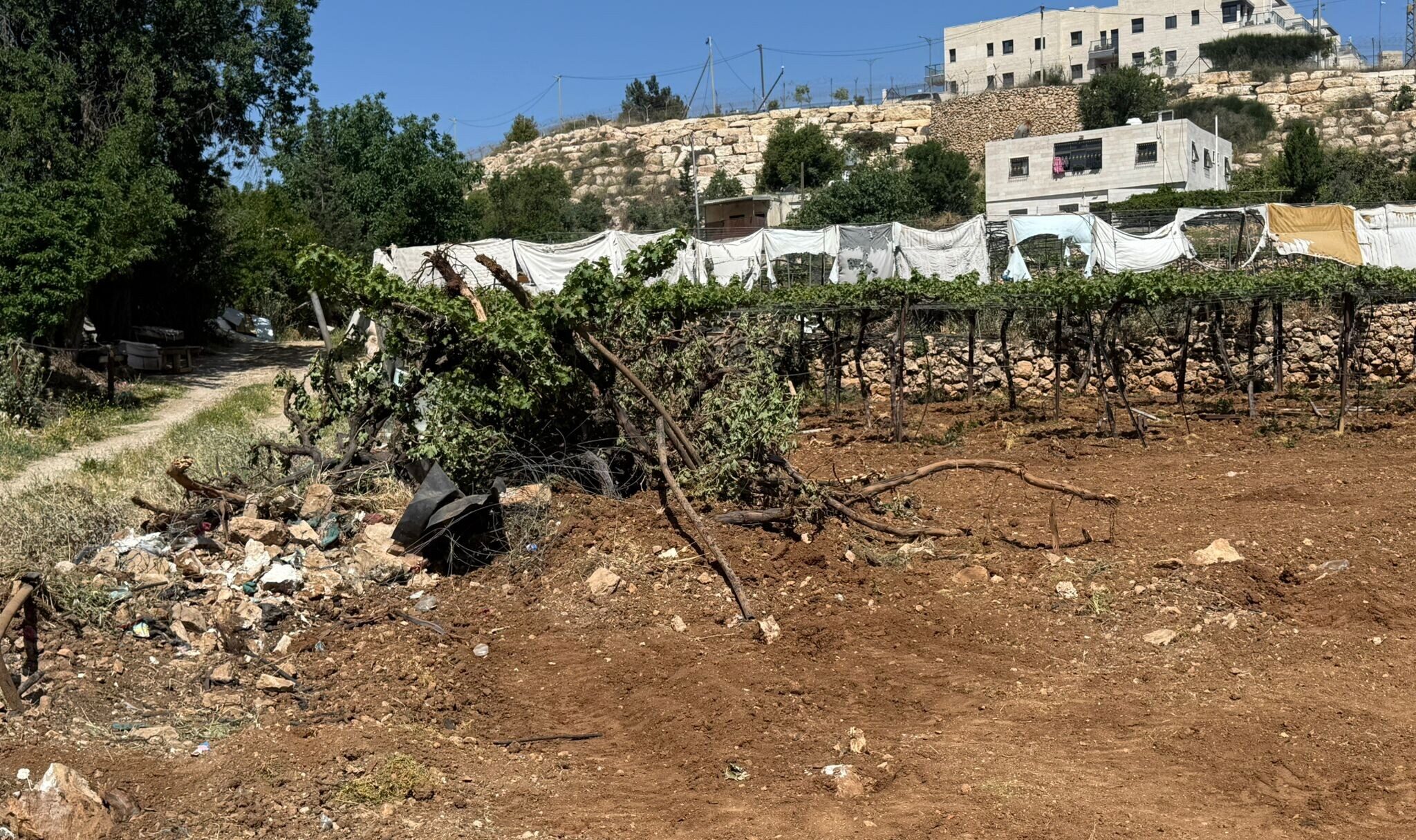 South Hebron Hills. Land clearing near the road