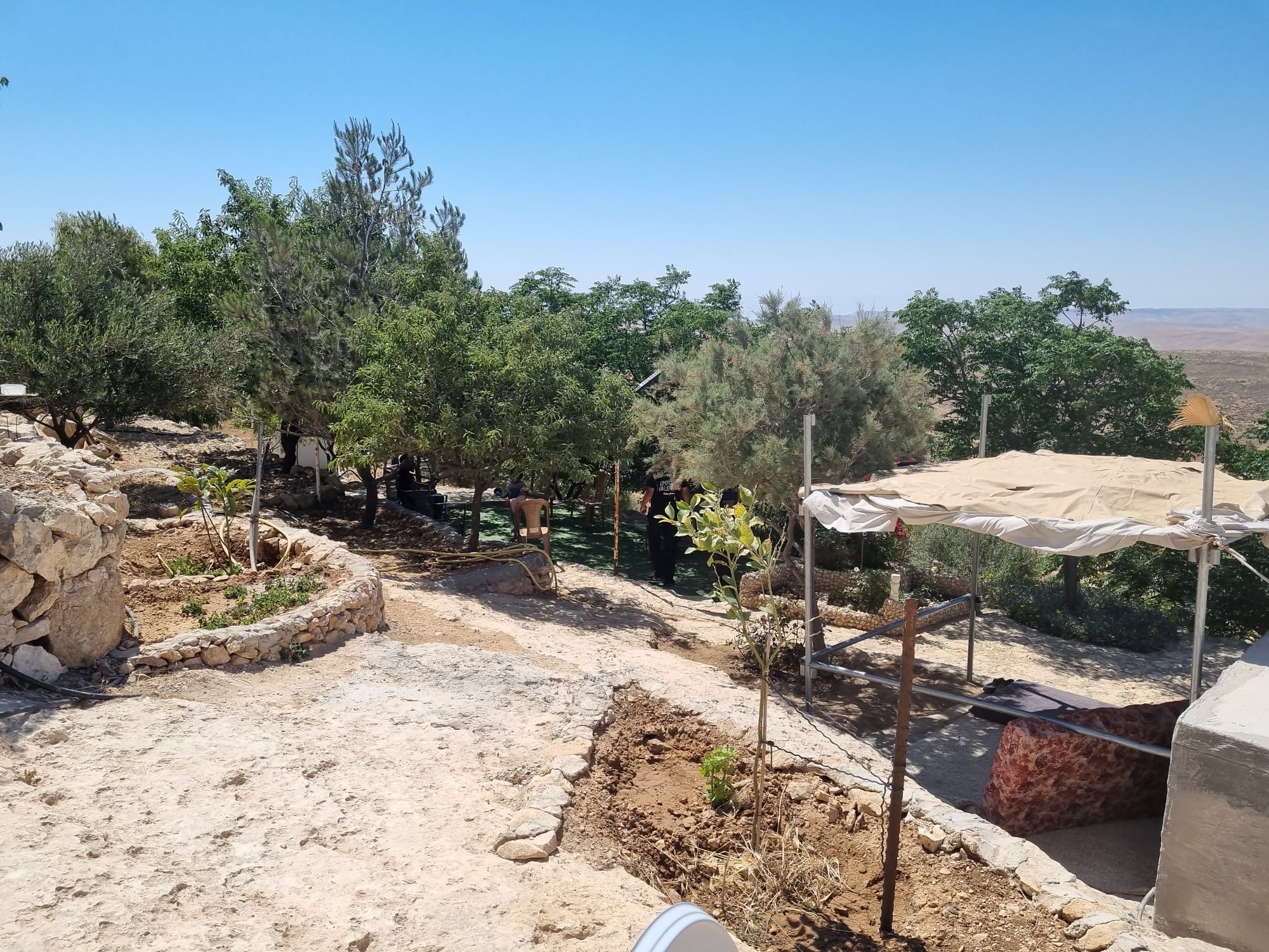 הגינה של ג'אבר בח'לת א-דבעe