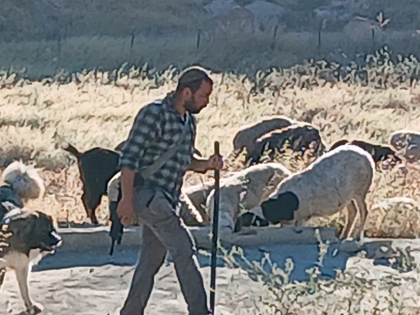 Settler Amichai Shilo