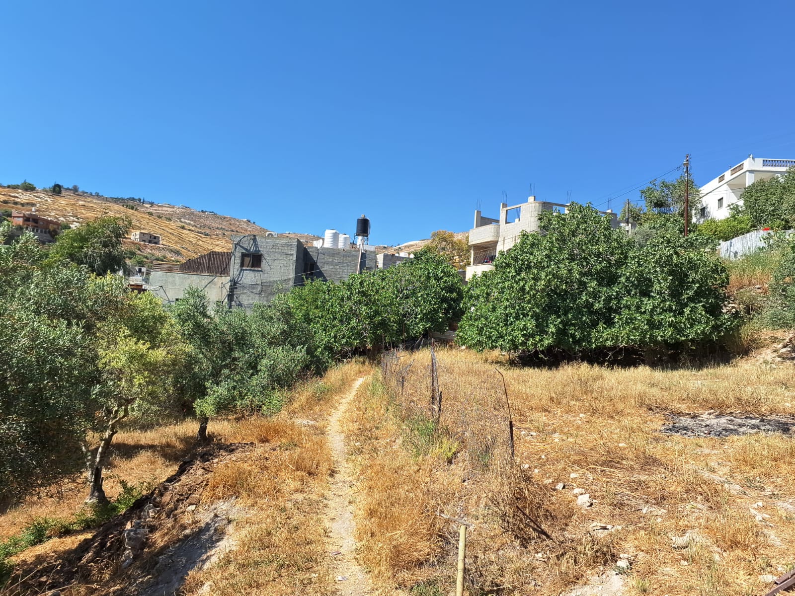 Einabus. The Area Behind the House Through Which the Stolen Sheep Were Led