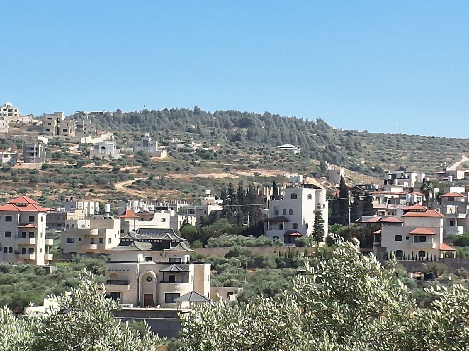 Einabus. A view of the hill from which the settlers come down