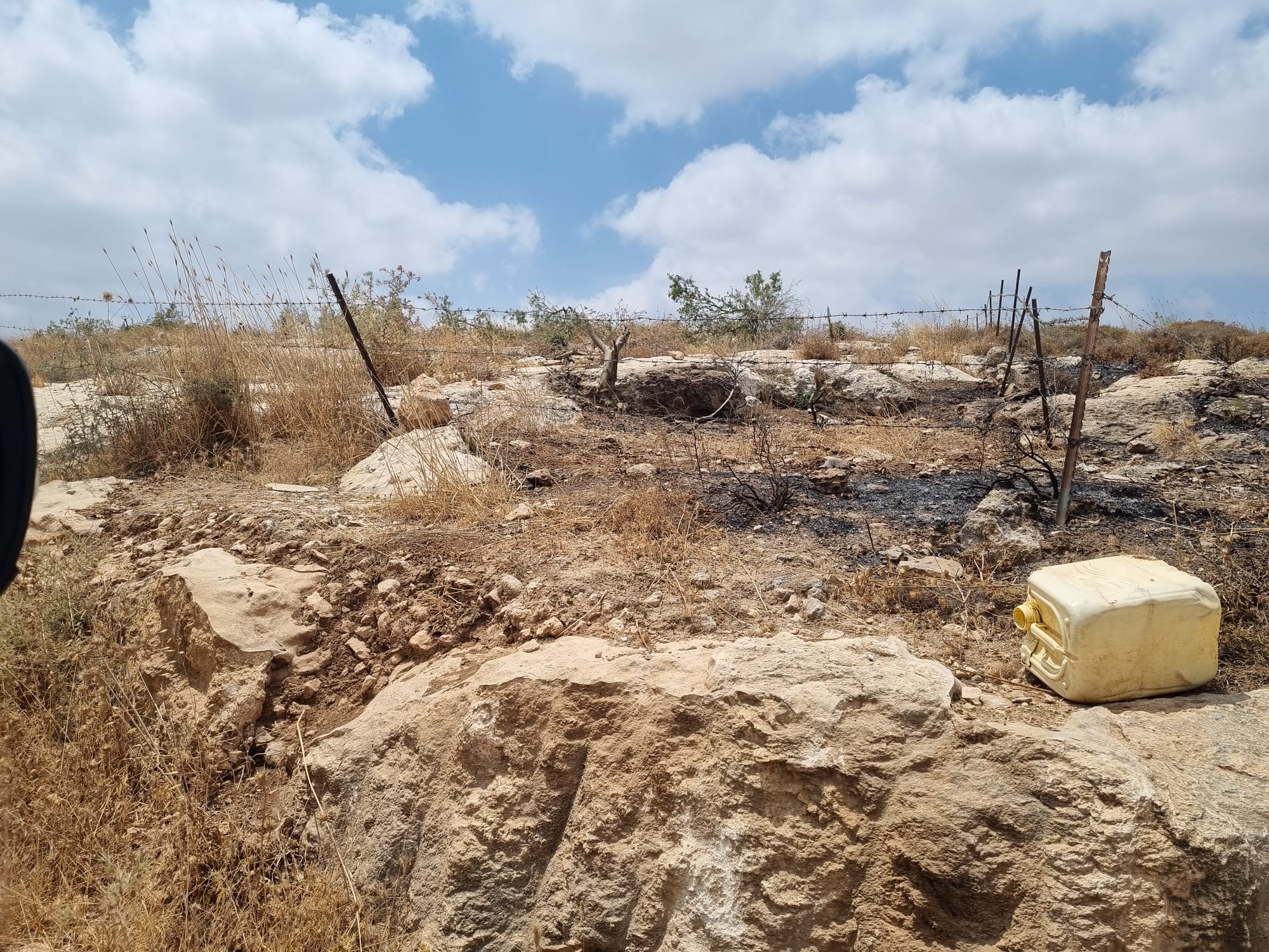 At the entrance to Shweika, burning trees and cutting down trees by settlers. The landowner will no longer be able to go there.