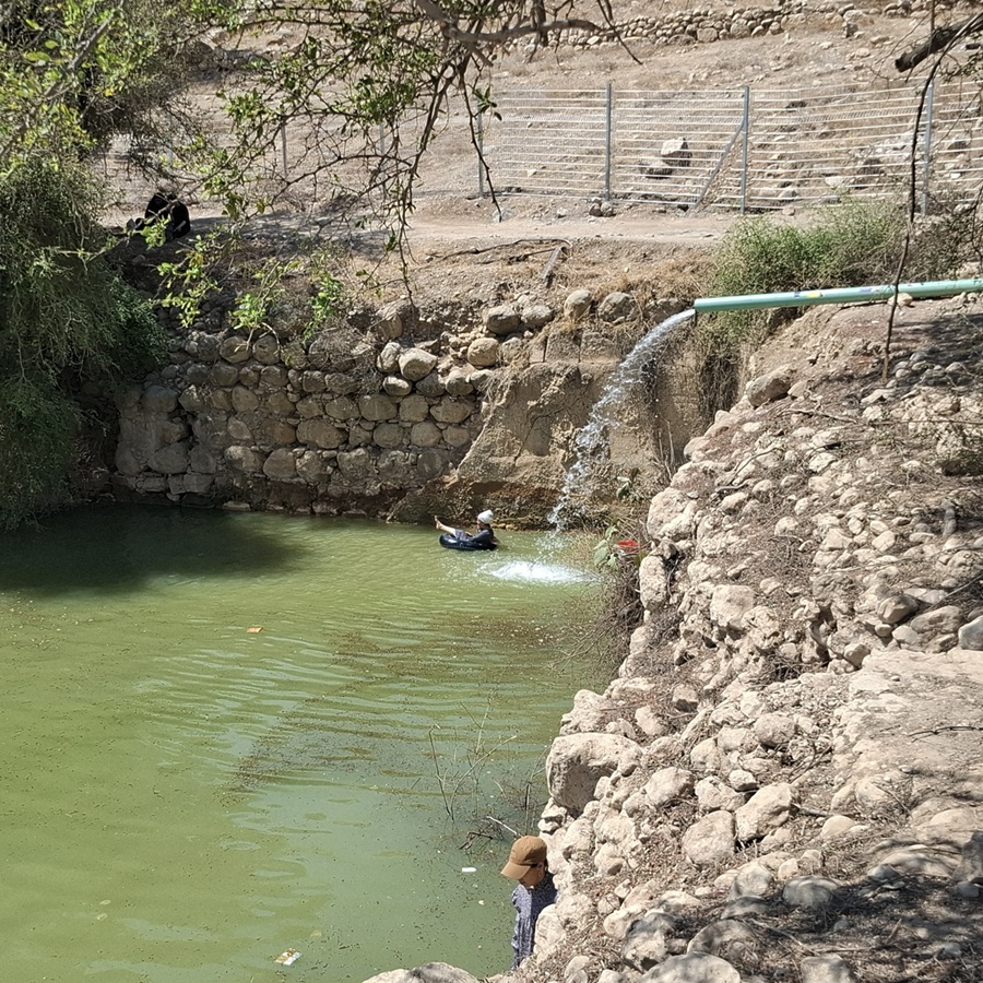 Jordan Valley. Settlers wading in the water of Fassayil's residents