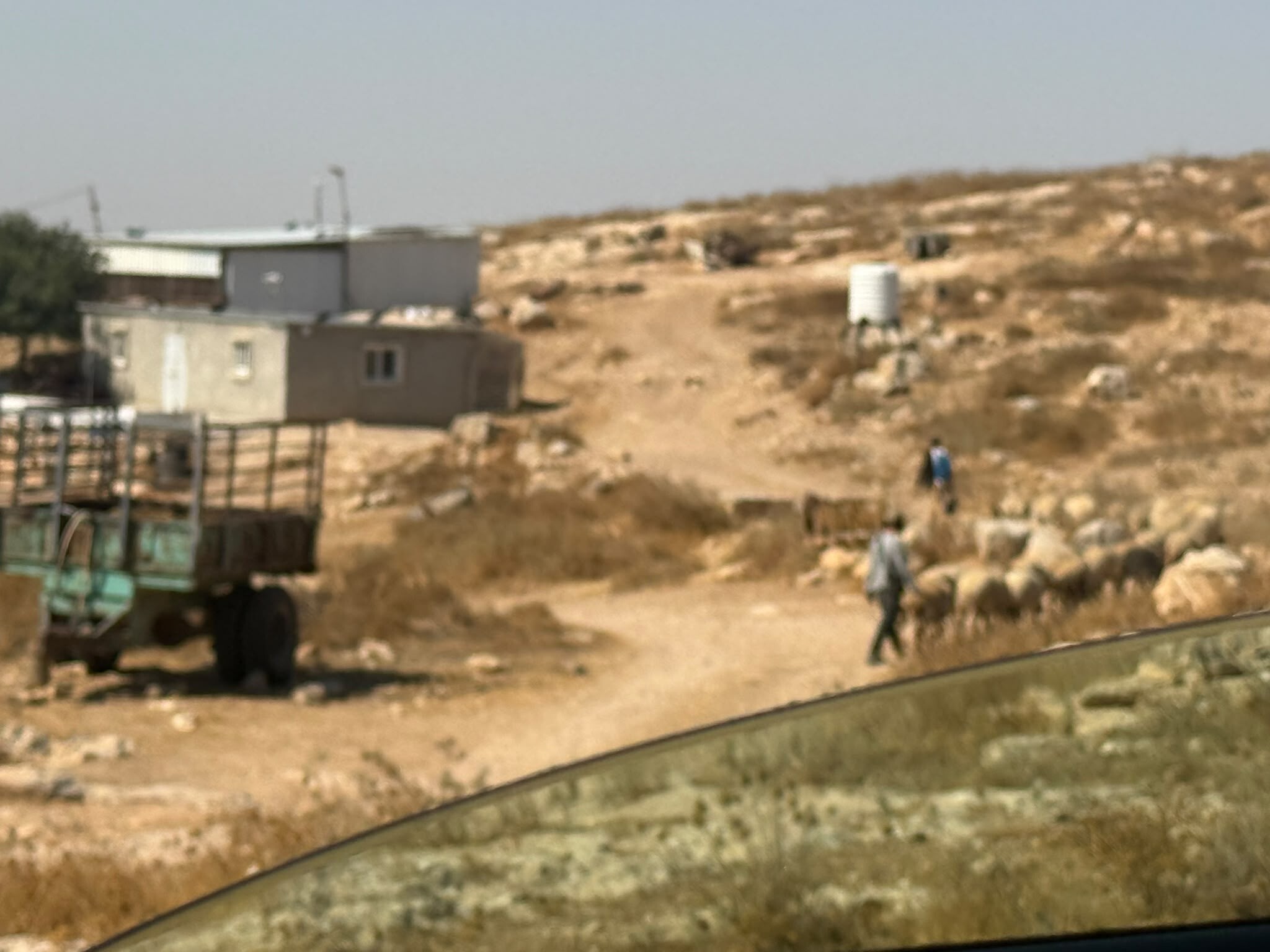 Settlers invade with a herd