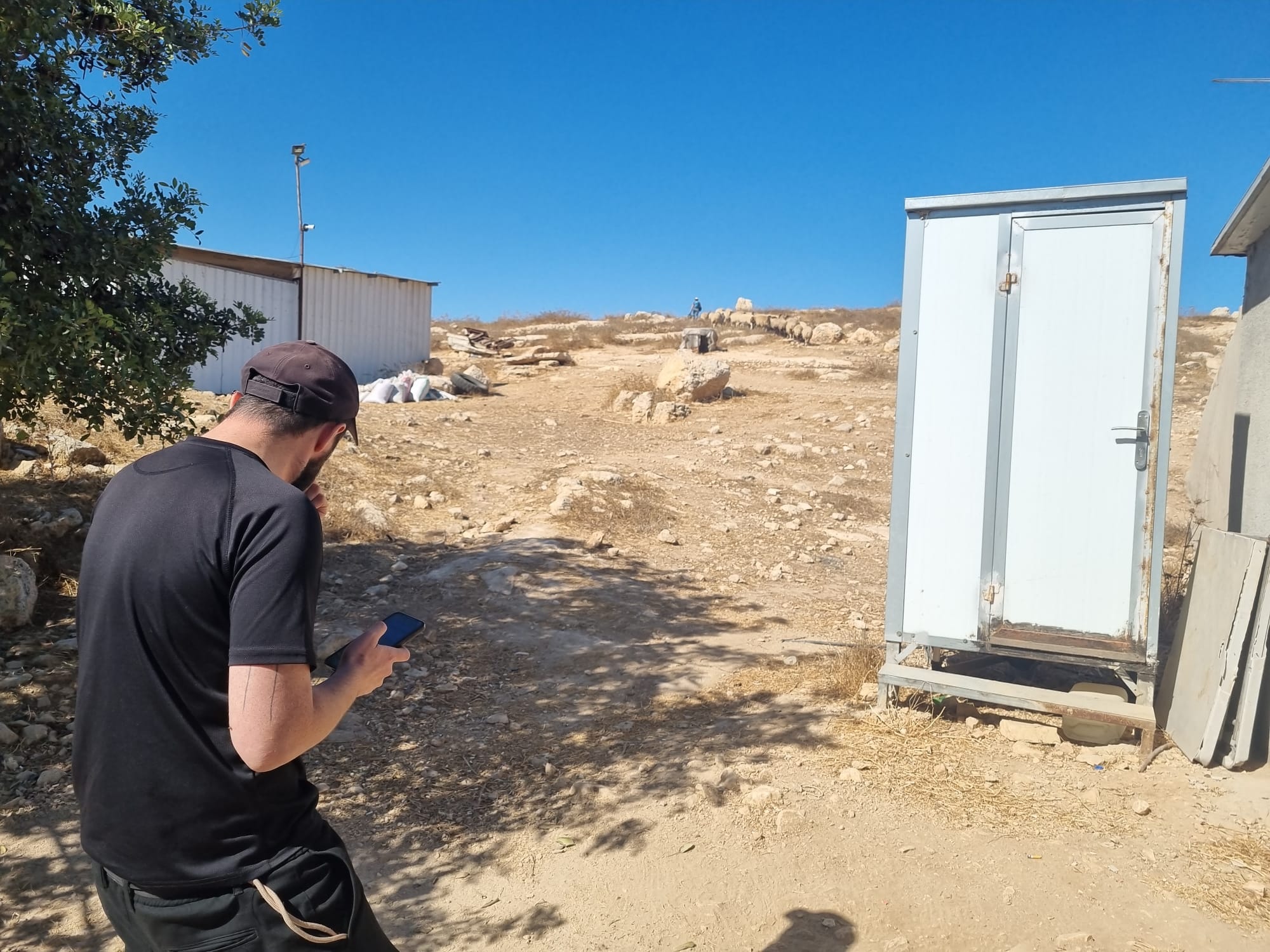 המתנחל מחוות ענים שחוזר עם העדר של מרדכי זכריה דרך שטח משפחת דראמין מח'ירבת אל-ח'ראבה