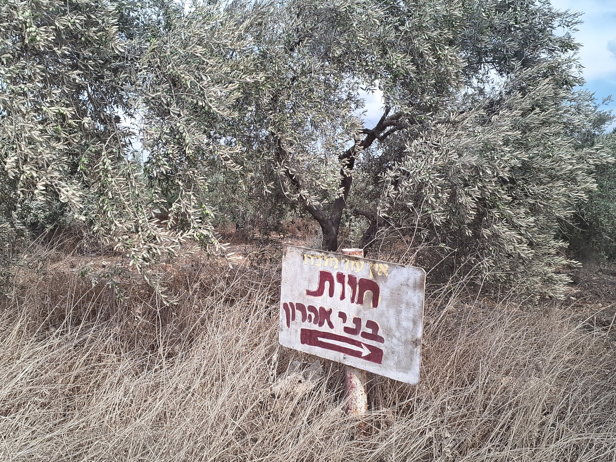 Huwara. Signage under the olive tree to Bnei Aharon Farm